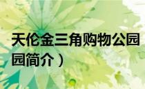 天伦金三角购物公园（关于天伦金三角购物公园简介）