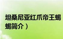 坦桑尼亚红爪帝王蝎（关于坦桑尼亚红爪帝王蝎简介）