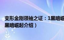 变形金刚领袖之证：1黑暗崛起（关于变形金刚领袖之证：1黑暗崛起介绍）