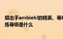 狙击手ambiehl的精英、等级、潜力、技能和信任的推荐训练等级是什么 