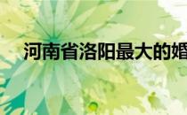 河南省洛阳最大的婚介公司（洛阳婚介）