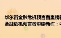 华尔街金融危机预言者重磅新作：中国大形势（关于华尔街金融危机预言者重磅新作：中国大形势简介）