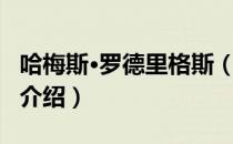 哈梅斯·罗德里格斯（关于哈梅斯·罗德里格斯介绍）