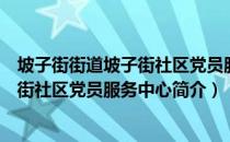 坡子街街道坡子街社区党员服务中心（关于坡子街街道坡子街社区党员服务中心简介）