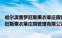 哈尔滨普罗旺斯薰衣草庄园管理有限公司（关于哈尔滨普罗旺斯薰衣草庄园管理有限公司介绍）