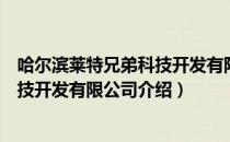 哈尔滨莱特兄弟科技开发有限公司（关于哈尔滨莱特兄弟科技开发有限公司介绍）