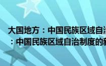 大国地方：中国民族区域自治制度的新发展（关于大国地方：中国民族区域自治制度的新发展）