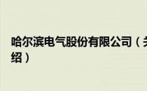 哈尔滨电气股份有限公司（关于哈尔滨电气股份有限公司介绍）