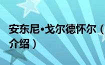 安东尼·戈尔德怀尔（关于安东尼·戈尔德怀尔介绍）