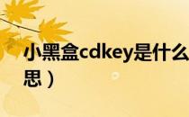 小黑盒cdkey是什么意思（cd key是什么意思）