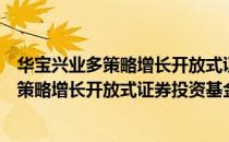 华宝兴业多策略增长开放式证券投资基金（关于华宝兴业多策略增长开放式证券投资基金简介）