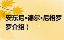 安东尼·德尔·尼格罗（关于安东尼·德尔·尼格罗介绍）