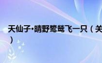 天仙子·晴野鹭鸶飞一只（关于天仙子·晴野鹭鸶飞一只简介）