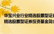 华宝兴业行业精选股票型证券投资基金（关于华宝兴业行业精选股票型证券投资基金简介）