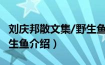 刘庆邦散文集/野生鱼（关于刘庆邦散文集/野生鱼介绍）