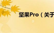 坚果Pro（关于坚果Pro简介）