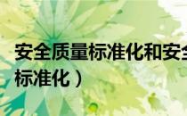 安全质量标准化和安全生产标准化（安全质量标准化）