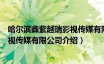 哈尔滨鑫紫越瑞影视传媒有限公司（关于哈尔滨鑫紫越瑞影视传媒有限公司介绍）