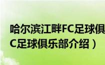 哈尔滨江畔FC足球俱乐部（关于哈尔滨江畔FC足球俱乐部介绍）