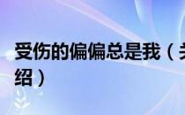 受伤的偏偏总是我（关于受伤的偏偏总是我介绍）