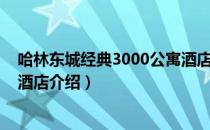 哈林东城经典3000公寓酒店（关于哈林东城经典3000公寓酒店介绍）