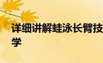 详细讲解蛙泳长臂技术 练习蛙泳长臂视频教学