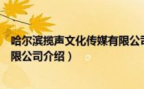 哈尔滨揽声文化传媒有限公司（关于哈尔滨揽声文化传媒有限公司介绍）