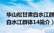 华山松甘肃白水江群体14（关于华山松甘肃白水江群体14简介）