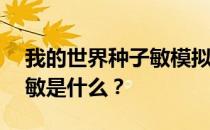 我的世界种子敏模拟城市——我的世界种子敏是什么？