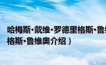 哈梅斯·戴维·罗德里格斯·鲁维奥（关于哈梅斯·戴维·罗德里格斯·鲁维奥介绍）