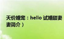 天价婚宠：hello 试婚甜妻（关于天价婚宠：hello 试婚甜妻简介）