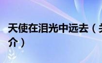 天使在泪光中远去（关于天使在泪光中远去简介）