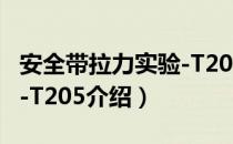 安全带拉力实验-T205（关于安全带拉力实验-T205介绍）