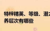 特梓精英、等级、潜力、技能、信任的推荐培养层次有哪些 