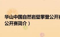 华山中国自然岩壁攀登公开赛（关于华山中国自然岩壁攀登公开赛简介）