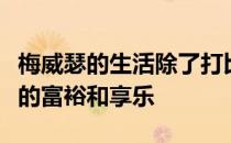 梅威瑟的生活除了打比赛外就是享受金钱带来的富裕和享乐