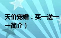 天价宠婚：买一送一（关于天价宠婚：买一送一简介）