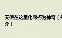 天使在这里化腐朽为神奇（关于天使在这里化腐朽为神奇简介）