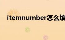 itemnumber怎么填写（itemnumber）