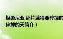 坦桑尼亚 那片蓝得要碎掉的天（关于坦桑尼亚 那片蓝得要碎掉的天简介）