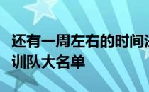 还有一周左右的时间法国队就将公布新一期集训队大名单