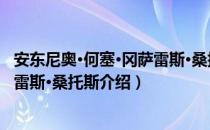 安东尼奥·何塞·冈萨雷斯·桑托斯（关于安东尼奥·何塞·冈萨雷斯·桑托斯介绍）