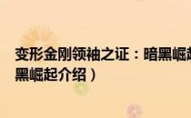 变形金刚领袖之证：暗黑崛起（关于变形金刚领袖之证：暗黑崛起介绍）