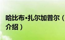 哈比布·扎尔加普尔（关于哈比布·扎尔加普尔介绍）