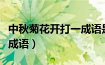 中秋菊花开打一成语是什么（中秋菊盛开打一成语）