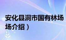 安化县洞市国有林场（关于安化县洞市国有林场介绍）