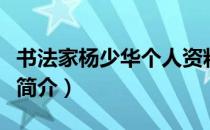 书法家杨少华个人资料简介（杨少华个人资料简介）