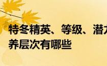 特冬精英、等级、潜力、技能、信任的推荐培养层次有哪些 