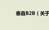 垂直B2B（关于垂直B2B简介）