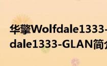 华擎Wolfdale1333-GLAN（关于华擎Wolfdale1333-GLAN简介）